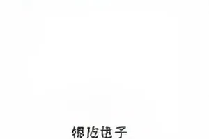 多平台处置公告发布时间汇总列表画面